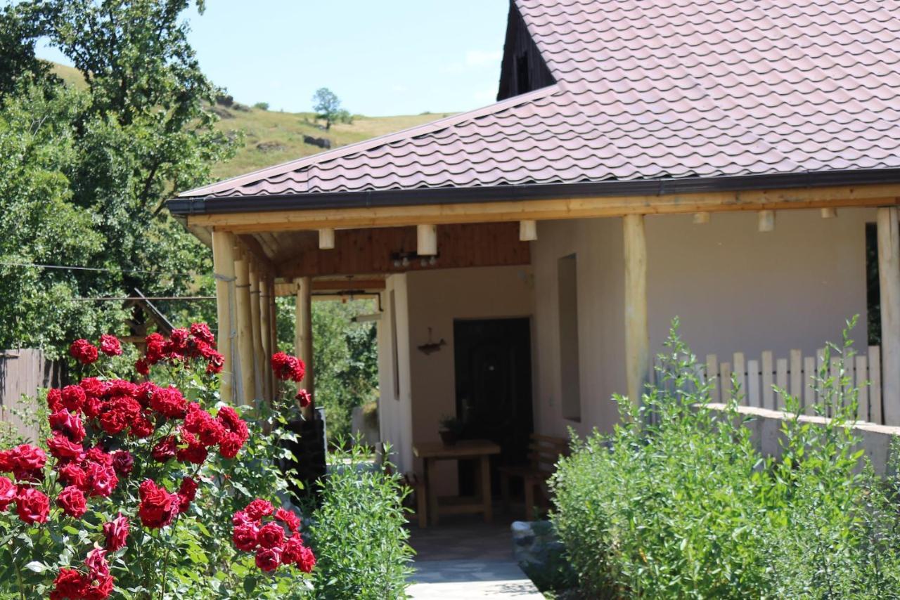 Villa Shamakhyan Dilijan Esterno foto
