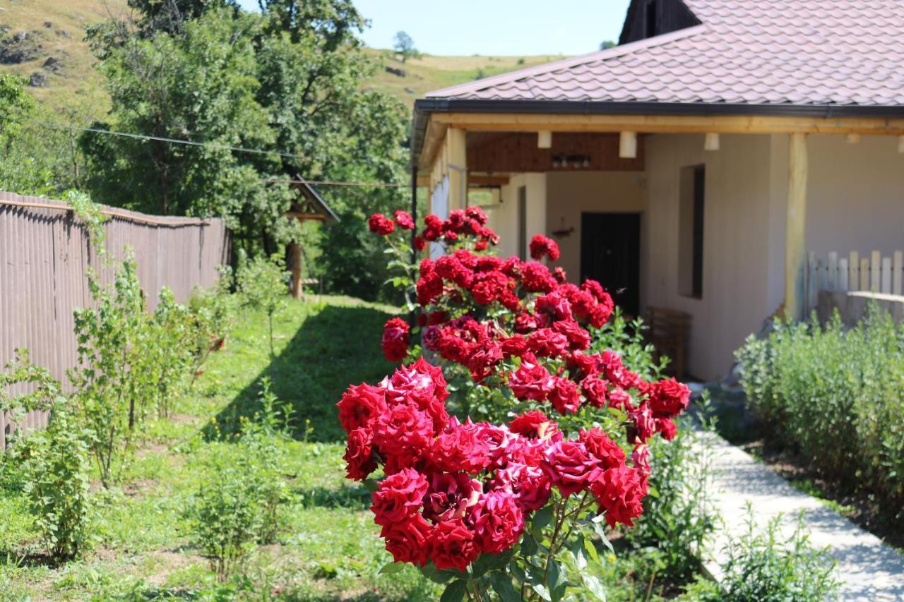 Villa Shamakhyan Dilijan Esterno foto