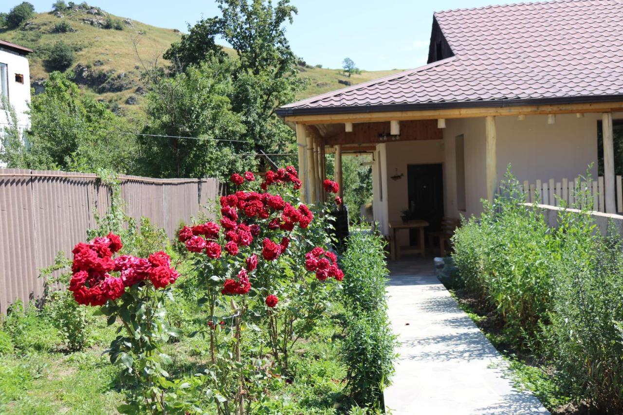 Villa Shamakhyan Dilijan Esterno foto