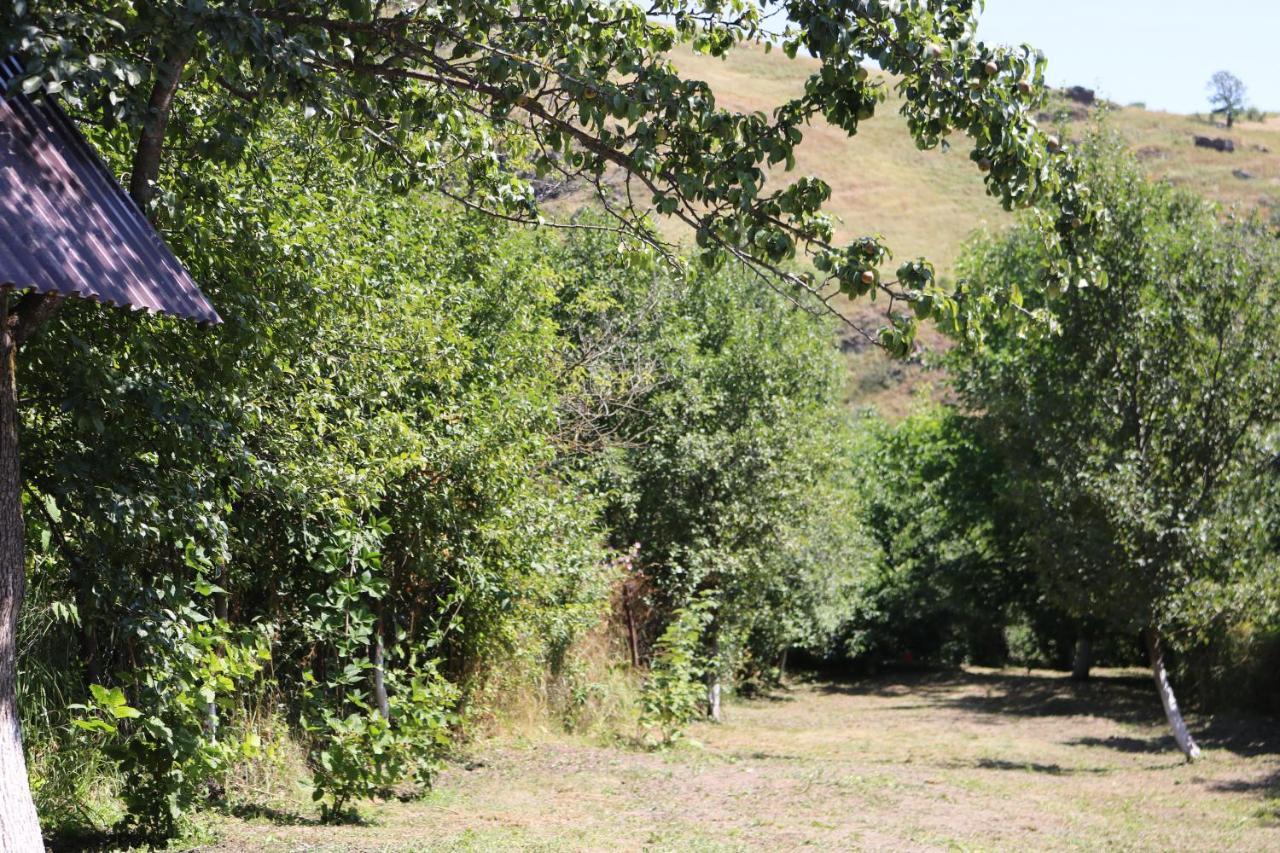 Villa Shamakhyan Dilijan Esterno foto